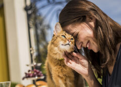 Relación Gatos y Perros: Día Mundial del Gato